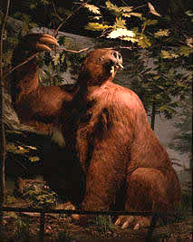 Jefferson's ground sloth