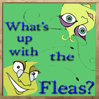 fleas