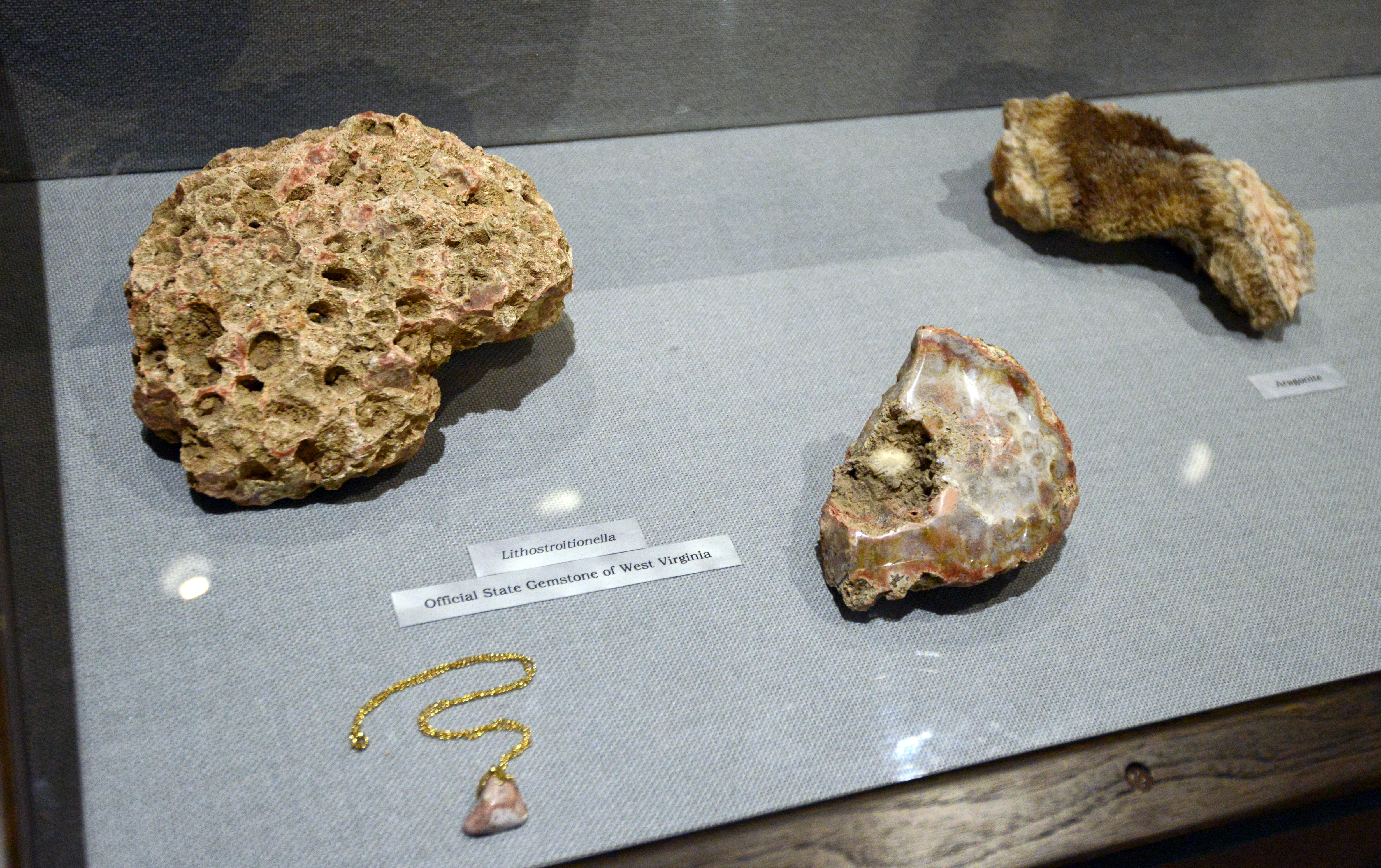 silicified lithostrotionella artifacts at Grave Creek Mound Archaeological Complex