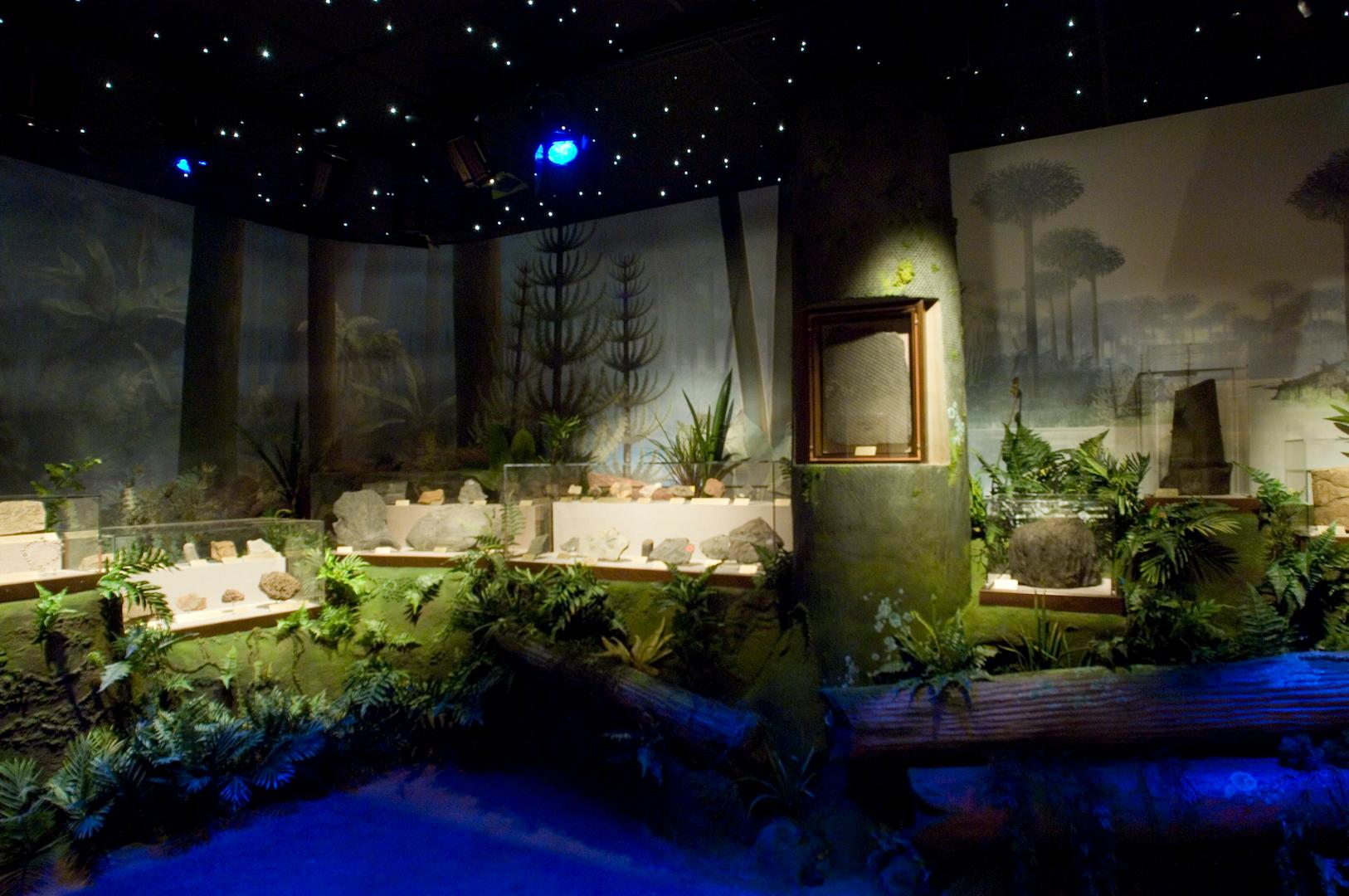 Museum interior showcasing West Virginia prehistory exhibit