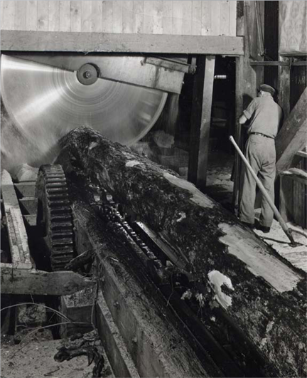 black and white image of man operating a large saw