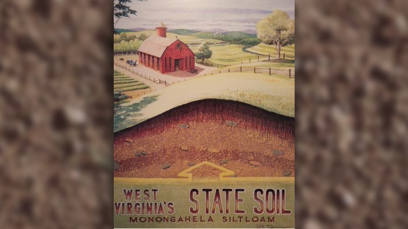 Monongahela silt loam and poster