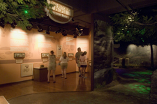 Discovery Room 2 Overview