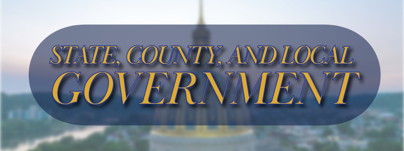 State, County, and Local Governments